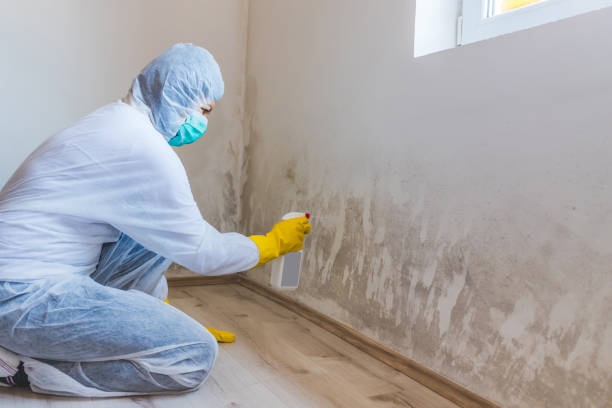Hvac And Air Duct Mold Remediation inspection of HVAC system in West Friendship