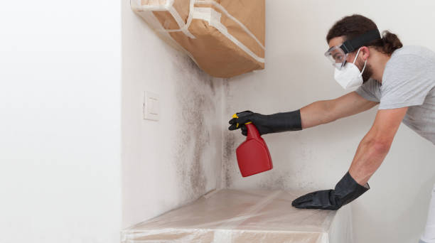 Attic Mold Remediation treatment on roof deck in West Friendship