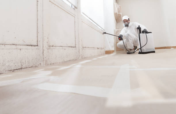 Black mold remediation team in West Friendship
