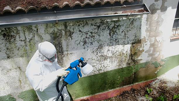 Mold Removal service in West Friendship